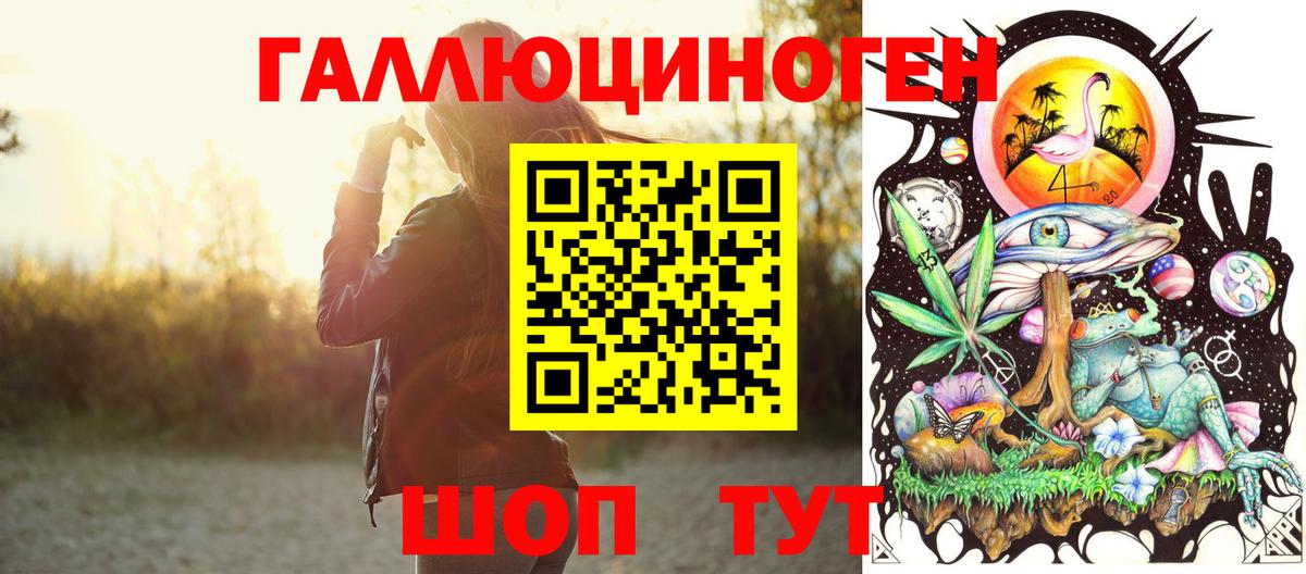 Галлюциногенные грибы Psilocybine cubensis  Галлюциногенные грибы мицелий  Вход с VPN  Белово 